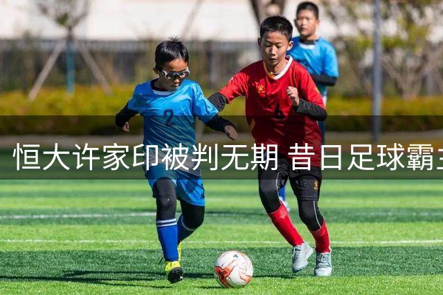 恒大许家印被判无期 昔日足球霸主今沦落