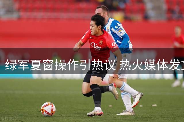 绿军夏窗操作引热议 热火媒体发文犀利点评