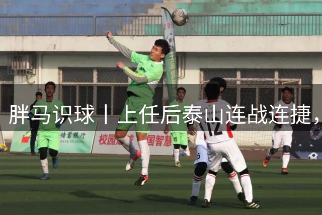 胖马识球丨上任后泰山连战连捷，唐田做对了什么？